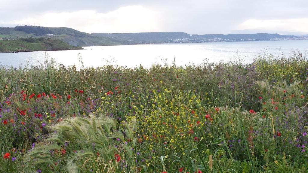 B&B I Viaggi Di Edo Crotone Dış mekan fotoğraf